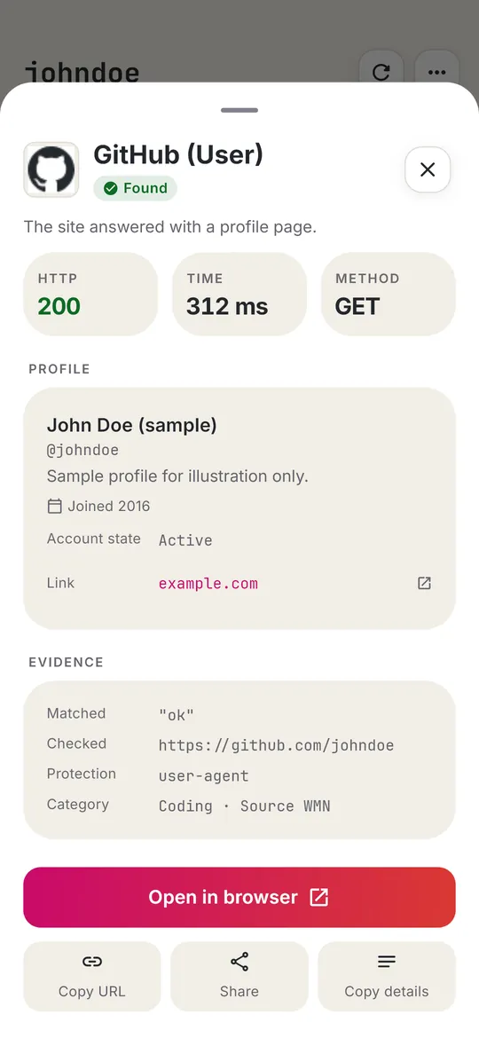 Detail sheet for a sample GitHub result with match evidence